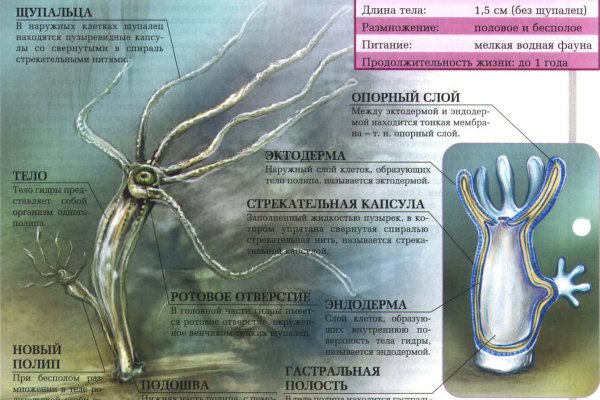 Ссылка на кракен на сегодня
