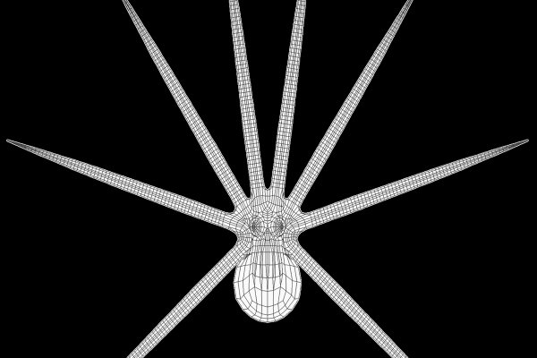 Ссылки на кракен at