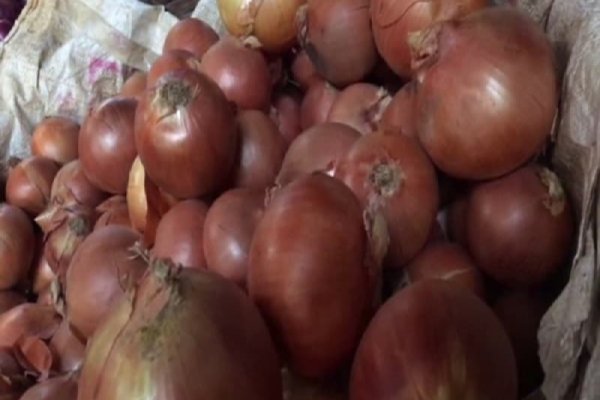 Как зарегаться на кракене