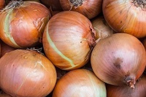 Модератор на кракене